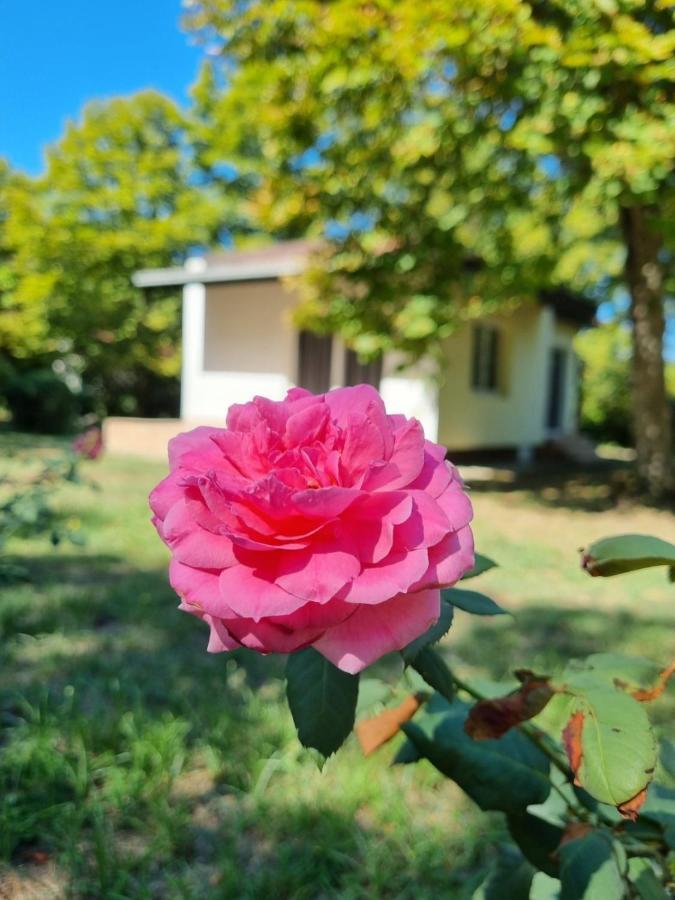 Fuk-Tak'S Bungalow Dojran Luaran gambar